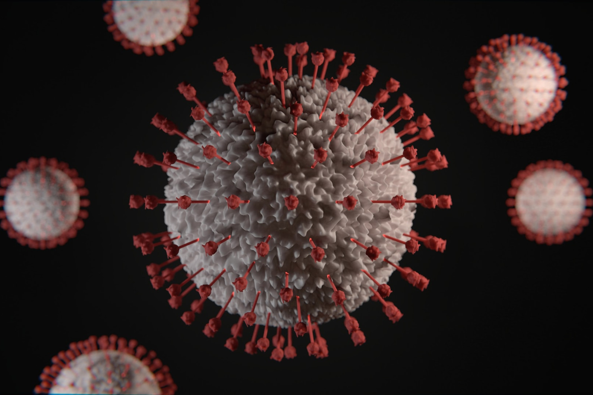 Read more about the article Coronavirus Update